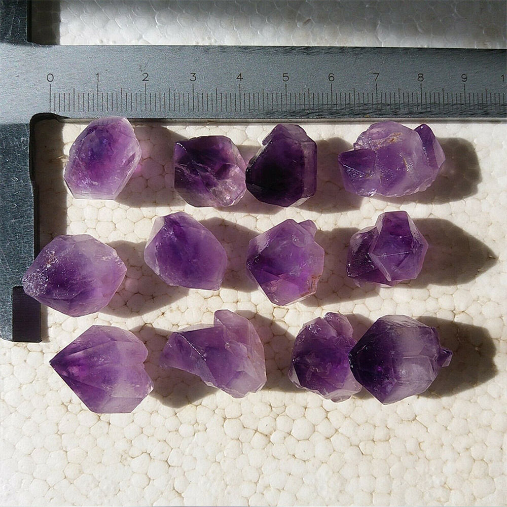 ธรรมชาติที่ไม่ซ้ำกัน Lavender  - Aquarium Fish Unique บทวิจารณ์และราคา