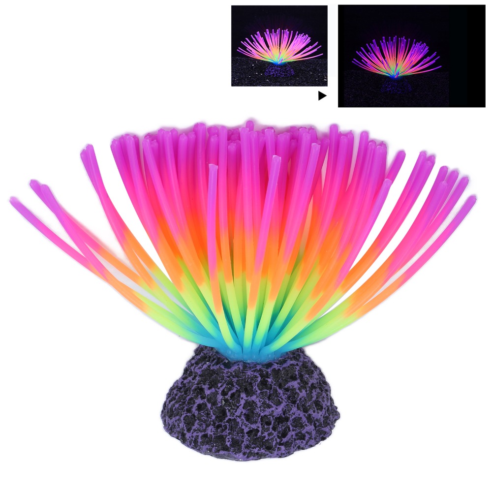 ซิลิโคนตกแต่งตู้ปลาหลากสีสัน ซ - Aquarium Fish Rainbow บทวิจารณ์และราคา