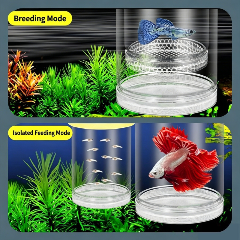 กล่องเพาะพันธุ์ปลาแบบโปร่งใสลอ - Aquarium Fish Cave บทวิจารณ์และราคา