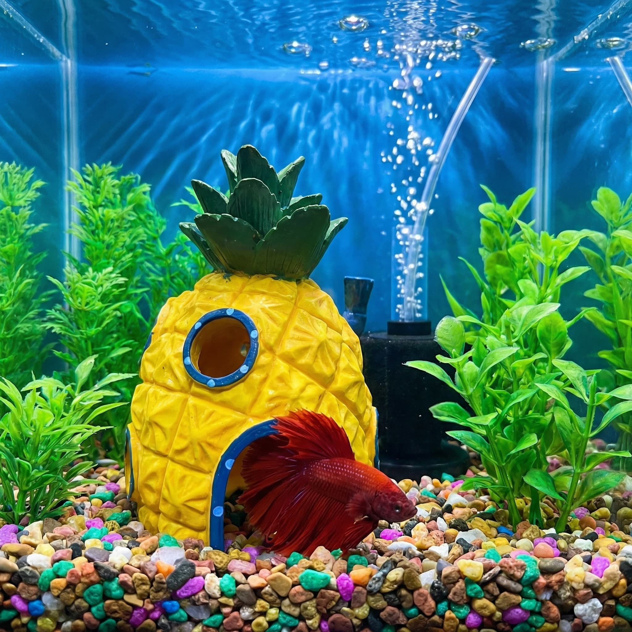 ของตกแต่งตู้ปลาทรงบ้านสับปะรด， - Aquarium Fish Cave บทวิจารณ์และราคา