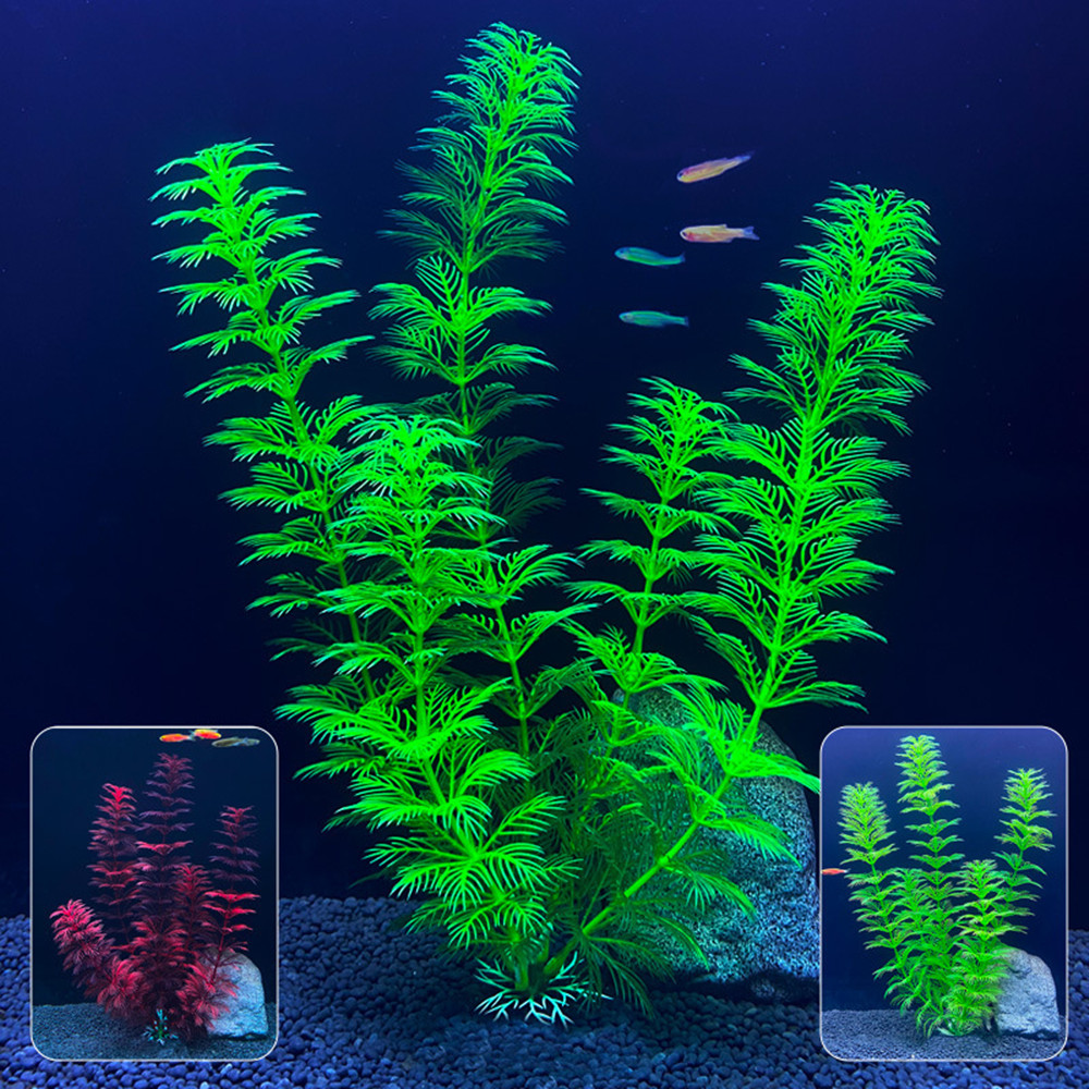 ต้นไม้ปลอมสำหรับตกแต่งตู้ปลา ข - Aquarium Fish For Sale Online บทวิจารณ์และราคา