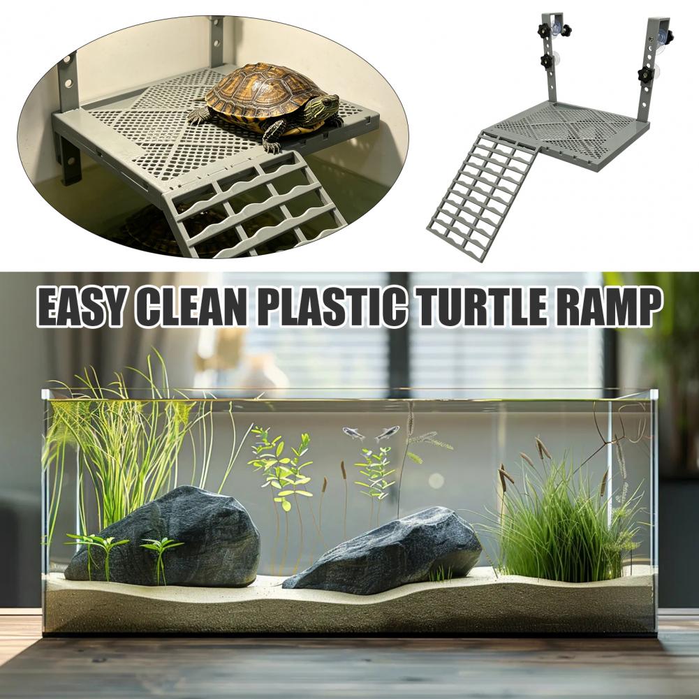 แท่นพักผ่อนสำหรับเต่าแบบแขวนติ - Aquarium Fish Saltwater บทวิจารณ์และราคา