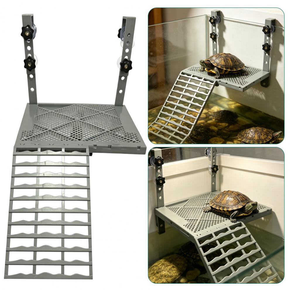 แท่นพักผ่อนสำหรับเต่าแบบแขวนติ - Aquarium Fish Saltwater บทวิจารณ์และราคา