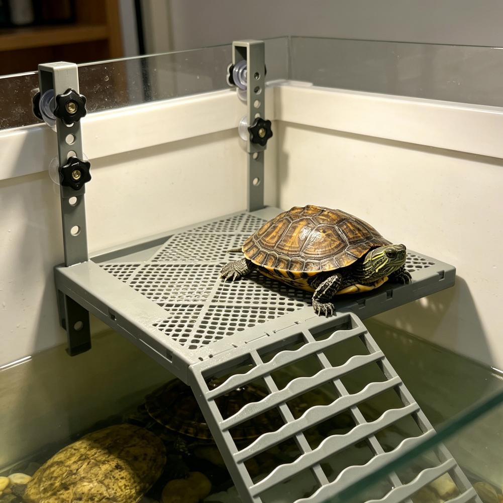 แท่นพักผ่อนสำหรับเต่าแบบแขวนติ - Aquarium Fish Saltwater บทวิจารณ์และราคา