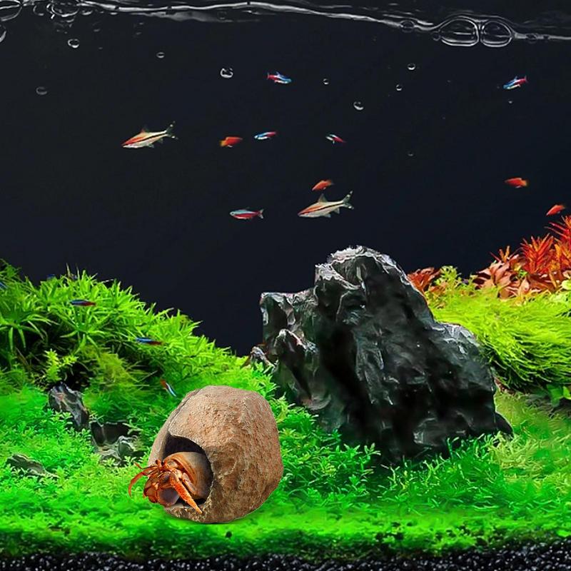 พิพิธภัณฑ์สัตว์น้ําถ้ําถังปลา  - Aquarium Fish Cave บทวิจารณ์และราคา