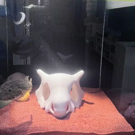 ที่ซ่อนตัวรูปทรงปลา กุ้ง หรือส - Aquarium Fish Cave บทวิจารณ์และราคา