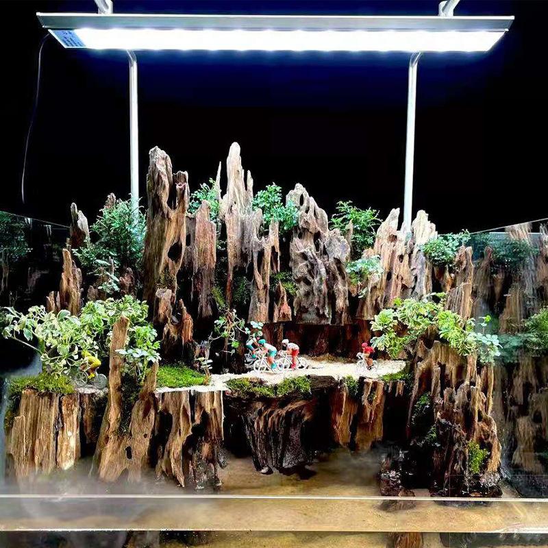 △   ไม้ตกแต่งตู้ปลา ไม้ลอยน้ำ  - Aquarium Fish For Sale Online บทวิจารณ์และราคา