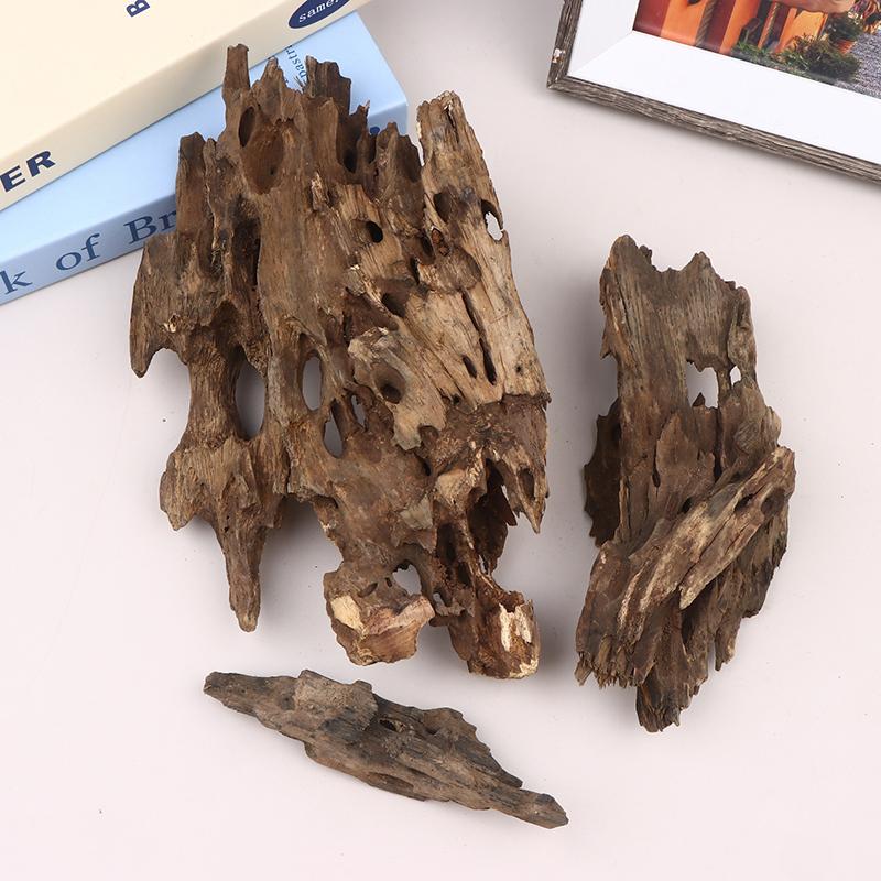 △   ไม้ตกแต่งตู้ปลา ไม้ลอยน้ำ  - Aquarium Fish For Sale Online บทวิจารณ์และราคา