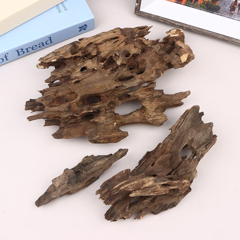 △   ไม้ตกแต่งตู้ปลา ไม้ลอยน้ำ  - Aquarium Fish For Sale Online บทวิจารณ์และราคา