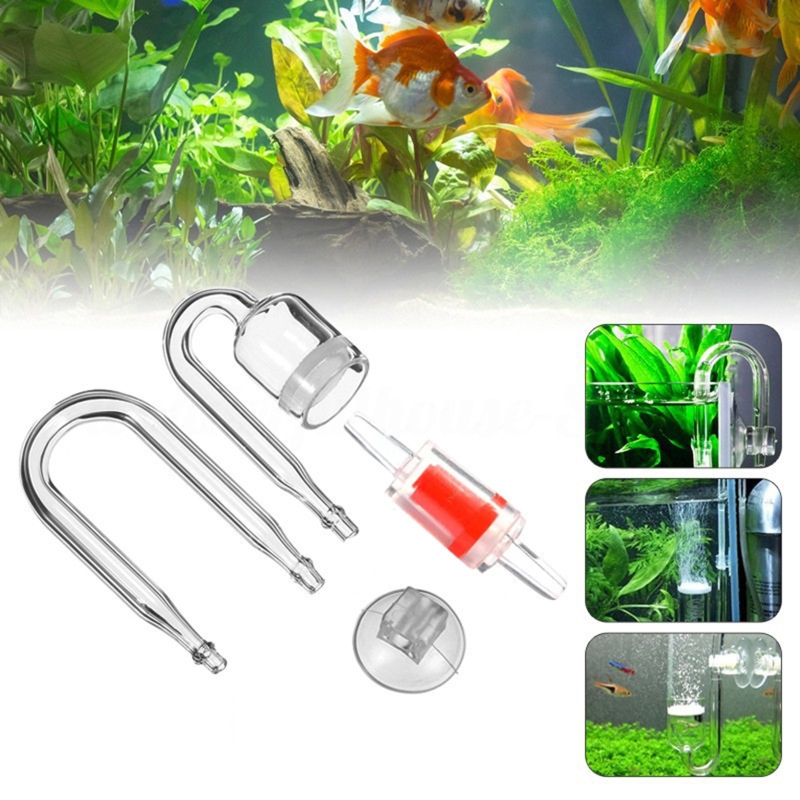 DIY ชุดกระจาย CO2 4ชิ้นสำหรับต - Aquarium Fish Items บทวิจารณ์และราคา