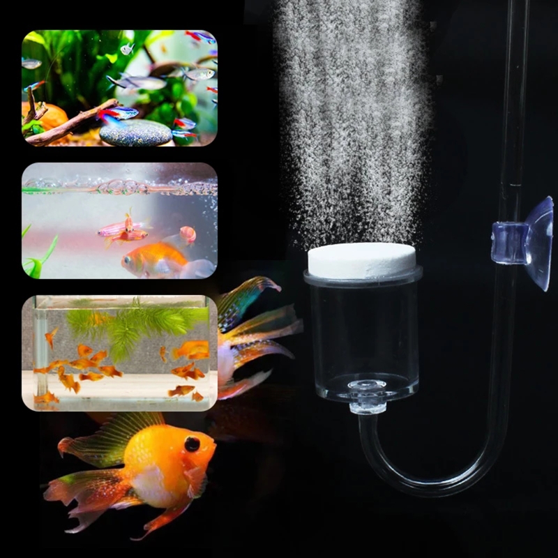 DIY ชุดกระจาย CO2 4ชิ้นสำหรับต - Aquarium Fish Items บทวิจารณ์และราคา
